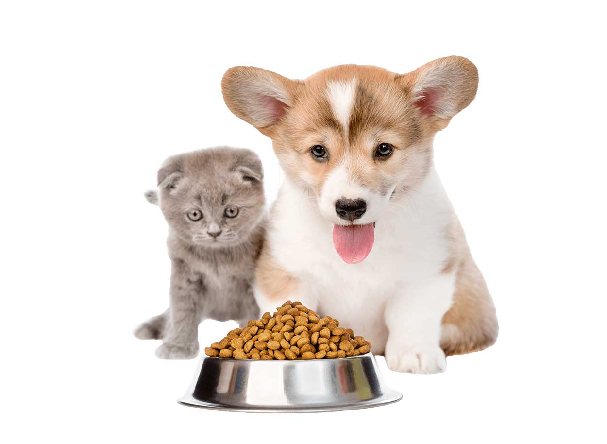 PET